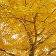 東ゆり 11.12 色気あるワイフ