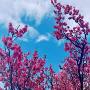 東ゆり 16.19 色気あるワイフ