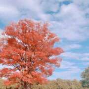 ヒメ日記 2025/11/21 16:56 投稿 東ゆり 美魔女エステ