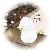 東ゆり ❄︎❄︎❄︎ 麗しいマダム