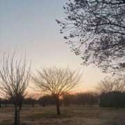 東ゆり 11.13 麗しいマダム