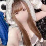 ヒメ日記 2025/03/05 12:05 投稿 なのか きらめけ！にゃんにゃん学園in大宮