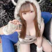 ヒメ日記 2025/03/15 17:33 投稿 なのか きらめけ！にゃんにゃん学園in大宮