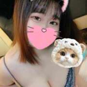 くれは にゃんにゃん🐱💕 静岡♂風俗の神様 静岡店