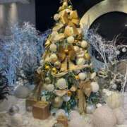 ヒメ日記 2025/12/16 22:31 投稿 ユウ マテリアル