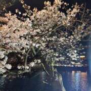 ヒメ日記 2026/04/02 12:16 投稿 ユウ マテリアル