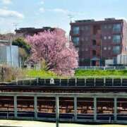 ヒメ日記 2025/04/05 13:43 投稿 美園 さいか スタイル抜群Hカッ ファーストクラス ルビー