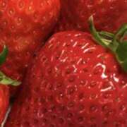 ヒメ日記 2025/02/28 19:15 投稿 はるか 奥鉄オクテツ神奈川店（デリヘル市場グループ）