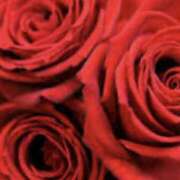 ヒメ日記 2025/03/26 18:05 投稿 はるか 奥鉄オクテツ神奈川店（デリヘル市場グループ）