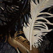 ヒメ日記 2025/04/03 19:10 投稿 はるか 奥鉄オクテツ神奈川店（デリヘル市場グループ）