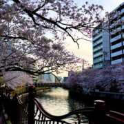 ヒメ日記 2025/04/05 20:40 投稿 はるか 奥鉄オクテツ神奈川店（デリヘル市場グループ）