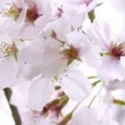 ヒメ日記 2025/04/08 20:05 投稿 はるか 奥鉄オクテツ神奈川店（デリヘル市場グループ）