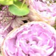 ヒメ日記 2025/04/13 19:40 投稿 はるか 奥鉄オクテツ神奈川店（デリヘル市場グループ）