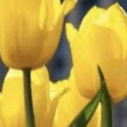 ヒメ日記 2025/04/22 18:45 投稿 はるか 奥鉄オクテツ神奈川店（デリヘル市場グループ）