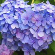 ヒメ日記 2025/06/13 20:20 投稿 はるか 奥鉄オクテツ神奈川店（デリヘル市場グループ）