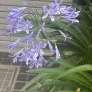 ヒメ日記 2025/06/27 22:35 投稿 はるか 奥鉄オクテツ神奈川店（デリヘル市場グループ）