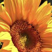 ヒメ日記 2025/07/15 19:00 投稿 はるか 奥鉄オクテツ神奈川店（デリヘル市場グループ）