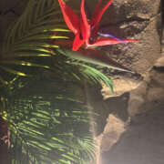 ヒメ日記 2025/07/20 20:15 投稿 はるか 奥鉄オクテツ神奈川店（デリヘル市場グループ）