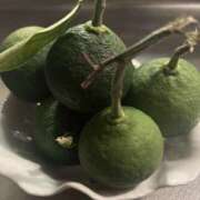 ヒメ日記 2025/07/24 21:15 投稿 はるか 奥鉄オクテツ神奈川店（デリヘル市場グループ）