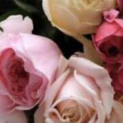 ヒメ日記 2025/07/29 22:00 投稿 はるか 奥鉄オクテツ神奈川店（デリヘル市場グループ）