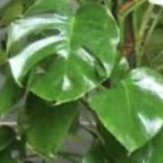 ヒメ日記 2025/08/21 16:30 投稿 はるか 奥鉄オクテツ神奈川店（デリヘル市場グループ）