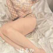 ヒメ日記 2025/09/19 13:20 投稿 はるか 奥鉄オクテツ神奈川店（デリヘル市場グループ）