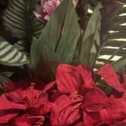 ヒメ日記 2025/09/20 16:05 投稿 はるか 奥鉄オクテツ神奈川店（デリヘル市場グループ）