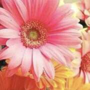 ヒメ日記 2025/09/24 22:20 投稿 はるか 奥鉄オクテツ神奈川店（デリヘル市場グループ）