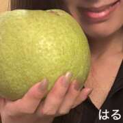 ヒメ日記 2025/09/26 21:45 投稿 はるか 奥鉄オクテツ神奈川店（デリヘル市場グループ）