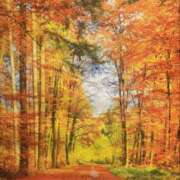 ヒメ日記 2025/10/14 16:35 投稿 はるか 奥鉄オクテツ神奈川店（デリヘル市場グループ）