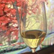 ヒメ日記 2025/10/17 23:20 投稿 はるか 奥鉄オクテツ神奈川店（デリヘル市場グループ）