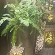 ヒメ日記 2025/10/21 14:00 投稿 はるか 奥鉄オクテツ神奈川店（デリヘル市場グループ）