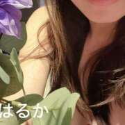 ヒメ日記 2025/10/24 15:55 投稿 はるか 奥鉄オクテツ神奈川店（デリヘル市場グループ）