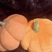 ヒメ日記 2025/10/30 18:55 投稿 はるか 奥鉄オクテツ神奈川店（デリヘル市場グループ）