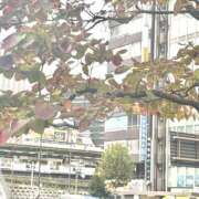 ヒメ日記 2025/11/02 17:20 投稿 はるか 奥鉄オクテツ神奈川店（デリヘル市場グループ）