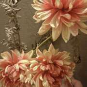 ヒメ日記 2025/11/12 17:30 投稿 はるか 奥鉄オクテツ神奈川店（デリヘル市場グループ）