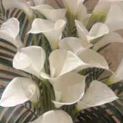 ヒメ日記 2025/11/15 16:15 投稿 はるか 奥鉄オクテツ神奈川店（デリヘル市場グループ）