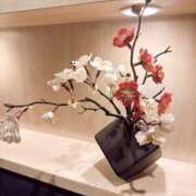 ヒメ日記 2026/02/13 21:50 投稿 はるか 奥鉄オクテツ神奈川店（デリヘル市場グループ）