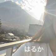 ヒメ日記 2026/02/18 20:05 投稿 はるか 奥鉄オクテツ神奈川店（デリヘル市場グループ）