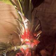 ヒメ日記 2026/02/23 14:30 投稿 はるか 奥鉄オクテツ神奈川店（デリヘル市場グループ）