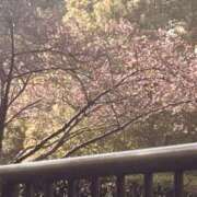 ヒメ日記 2026/02/23 17:10 投稿 はるか 奥鉄オクテツ神奈川店（デリヘル市場グループ）