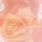 ヒメ日記 2026/02/28 16:35 投稿 はるか 奥鉄オクテツ神奈川店（デリヘル市場グループ）