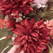 ヒメ日記 2026/03/02 18:50 投稿 はるか 奥鉄オクテツ神奈川店（デリヘル市場グループ）