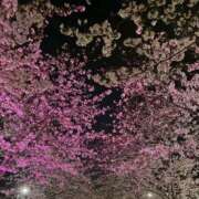 ヒメ日記 2026/04/05 20:00 投稿 はるか 奥鉄オクテツ神奈川店（デリヘル市場グループ）