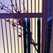 ヒメ日記 2026/04/09 17:35 投稿 はるか 奥鉄オクテツ神奈川店（デリヘル市場グループ）