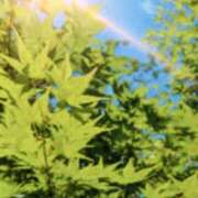 ヒメ日記 2026/05/01 17:30 投稿 はるか 奥鉄オクテツ神奈川店（デリヘル市場グループ）