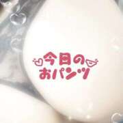 れお 出勤！！ 宮城大崎古川ちゃんこ