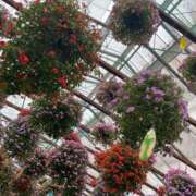 ヒメ日記 2025/04/19 09:49 投稿 りおな 多治見・土岐・春日井ちゃんこ