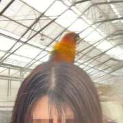 ヒメ日記 2025/04/19 12:29 投稿 りおな 多治見・土岐・春日井ちゃんこ