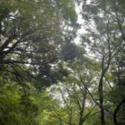 ヒメ日記 2025/05/19 19:49 投稿 りおな 多治見・土岐・春日井ちゃんこ